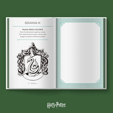 Harry Potter - Ambição - Seu Diário para Explorar o Mundo da Sonserina - Hilary VandenBroek