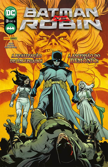 Batman vs. Robin - Vol.03