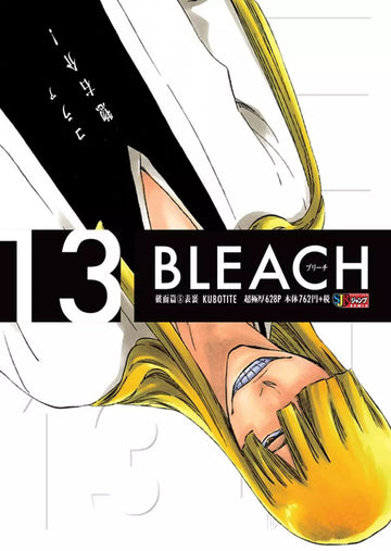 Bleach Remix - Vol.13