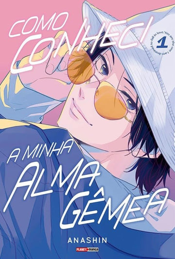 Como Conheci a Minha Alma Gêmea - Vol.01