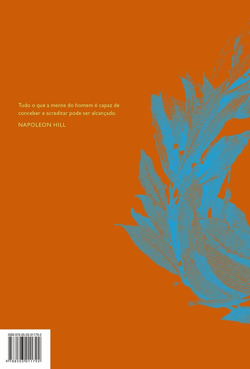 A lei do triunfo (Português) Capa Comum
