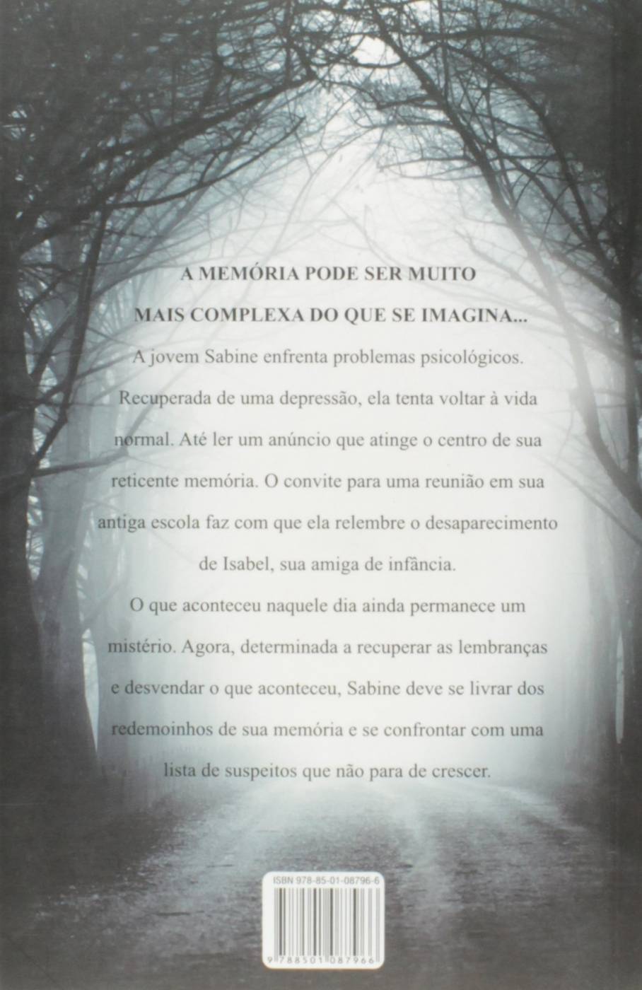 A Reunião - Simone Van Der Vlugt