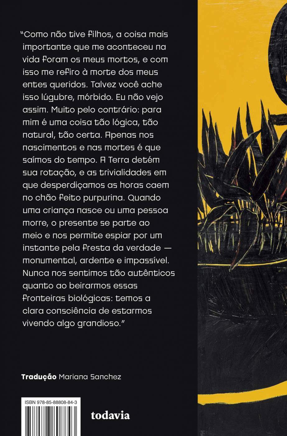 A Ridícula Ideia de Nunca Mais te Ver - Rosa Montero