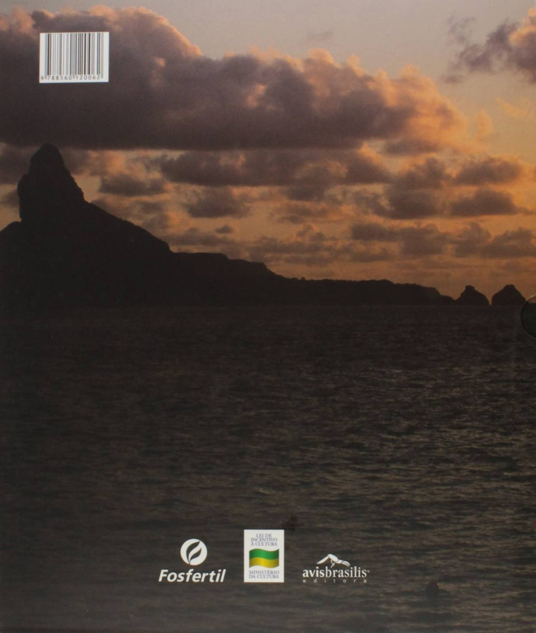 Aves de Fernando de Noronha - Deltan Martinazzo Dallagnol