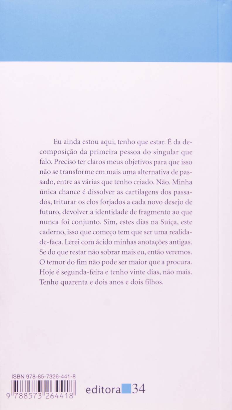 Azul e dura - Beatriz Bracher