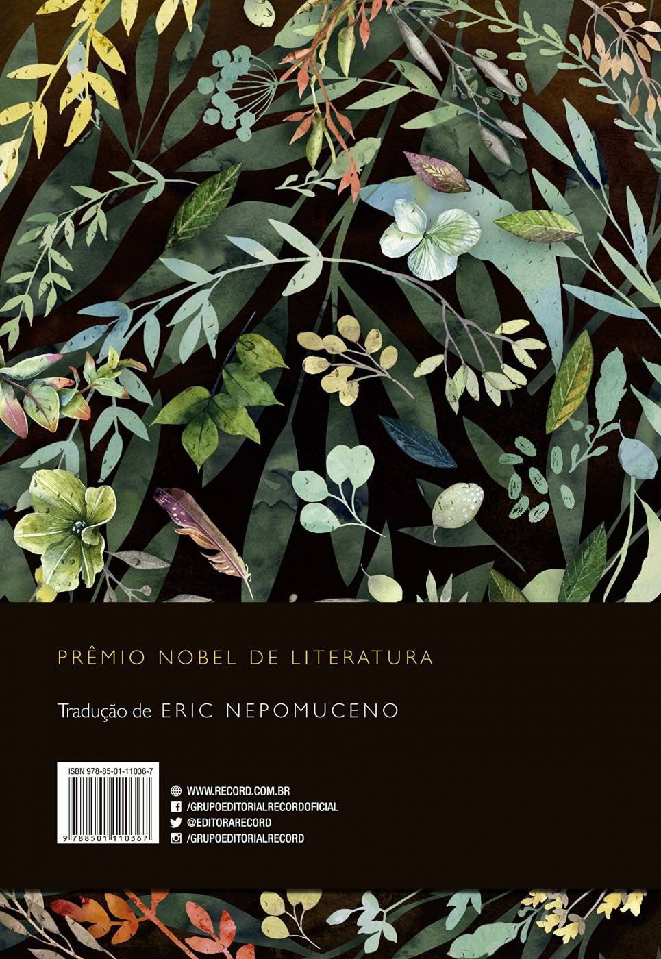Cem anos de solidão (Edição Especial) (Português) Capa dura