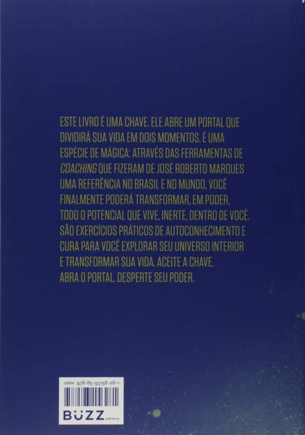 Desperte Seu Poder - José Roberto Marques