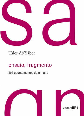 Ensaio, fragmento: 205 apontamentos de um ano - Tales AbSáber