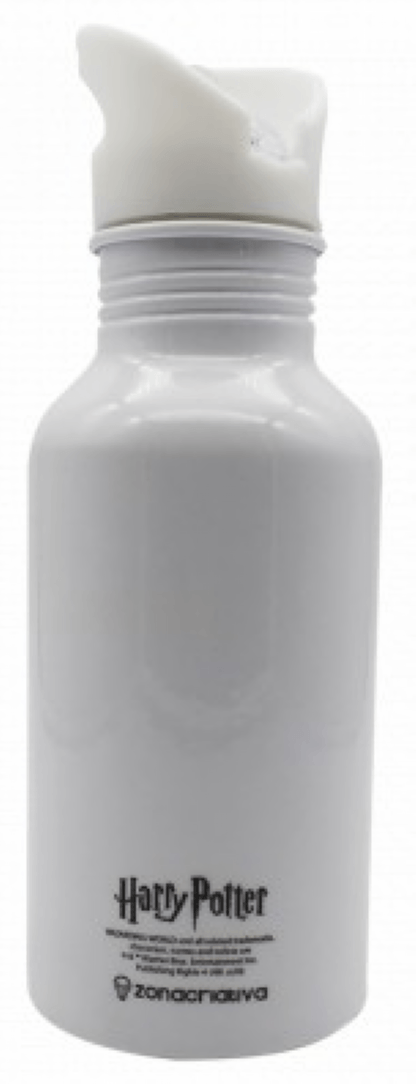 Garrafa Alumínio Harry Potter - Edwirges