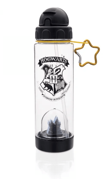 Garrafa Com Canudo e Domo Harry Potter Hogwarts