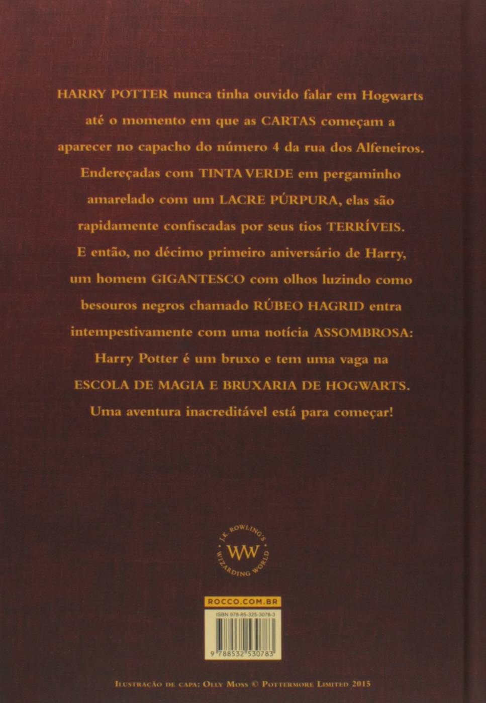 Harry Potter e a Pedra Filosofal - J. K. Rowling (Capa Dura)