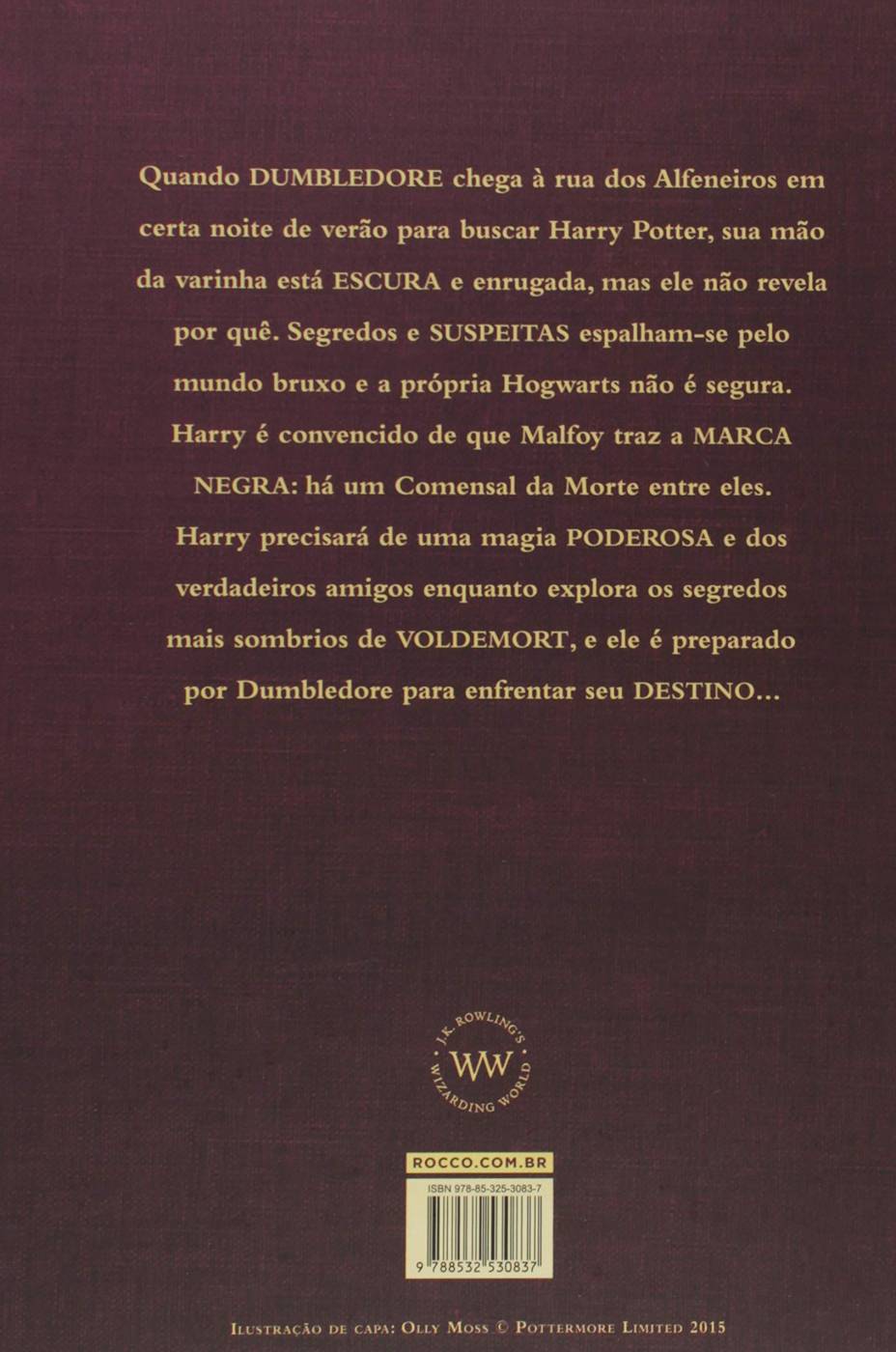 Harry Potter e o Enigma do Príncipe - J. K. Rowling (Capa Dura)
