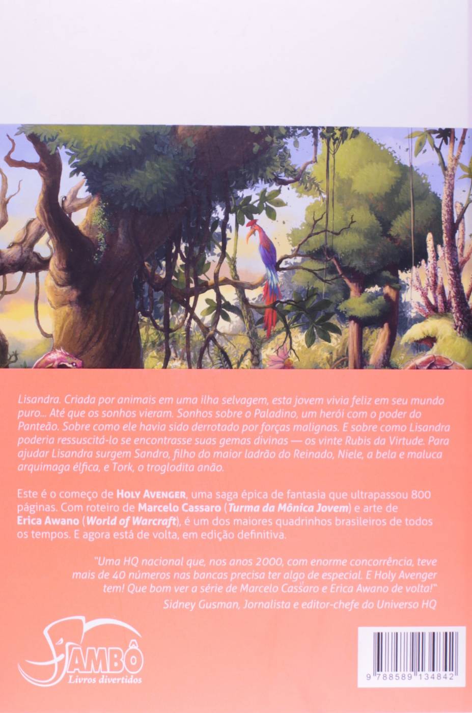 Holy Avenger - Edição Definitiva Vol. 1