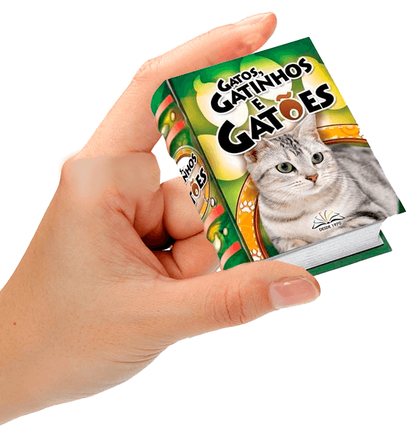 MiniBooks - Gatos, Gatinhos e Gatões