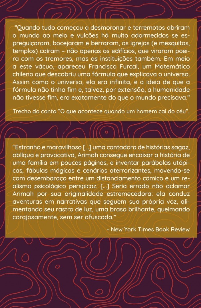 O Que Acontece Quando um Homem Cai do Céu - Lesley Nneka Arimah