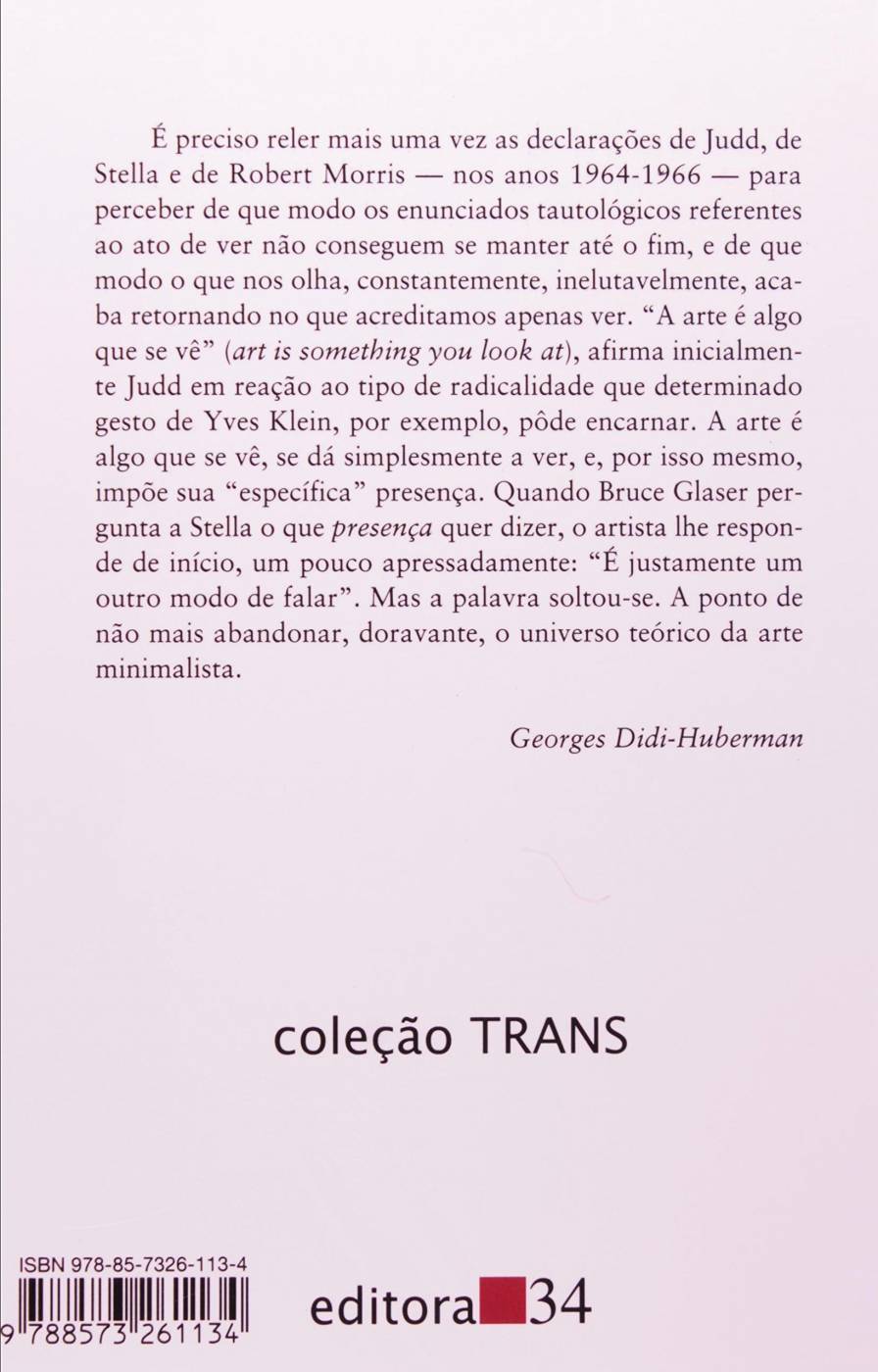 O  que Vemos, o que nos Olha  - Georges Didi-Huberman
