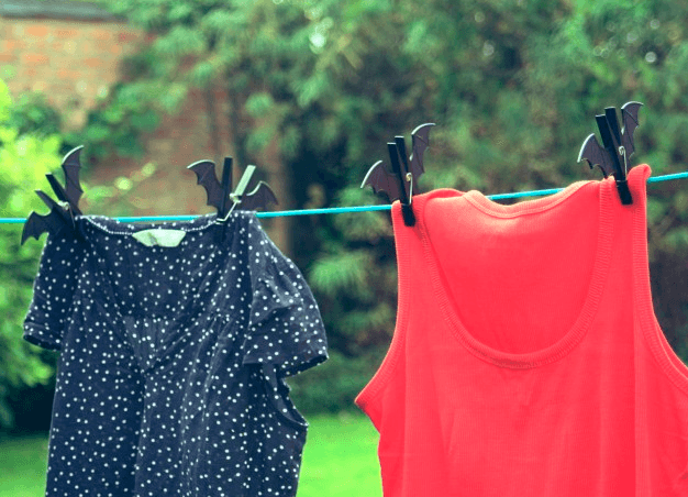 Prendedores de Roupas - Morcego