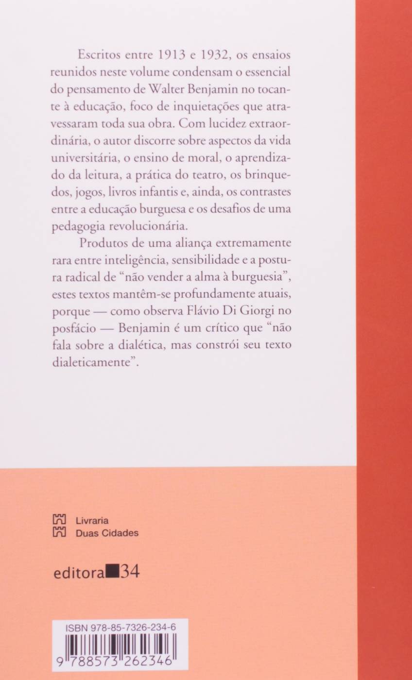Reflexões sobre a criança, o brinquedo e a educação  - Walter Benjamin